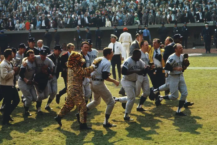 Framed Print : Detroit Tigers Carrying Their Winning Pitcher Framed Print : Detroit Tigers Carrying Their Winning Pitcher