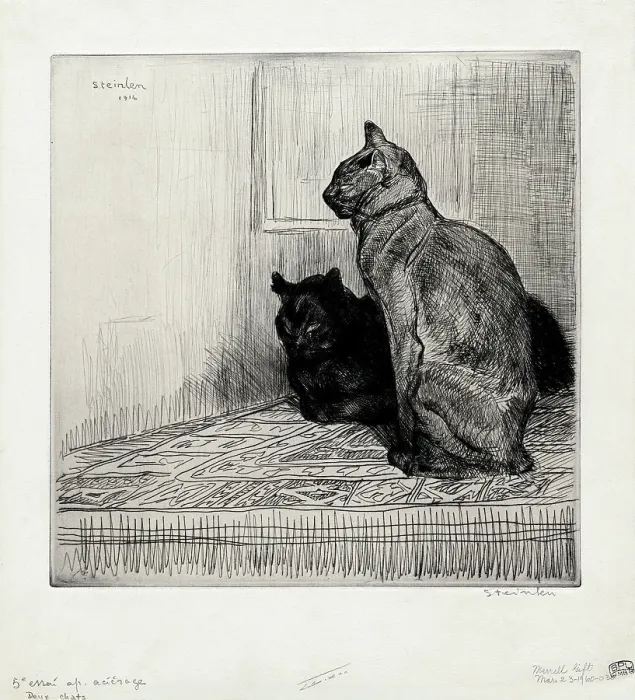 Framed Print : Deux chats sur un meuble Framed Print : Deux chats sur un meuble