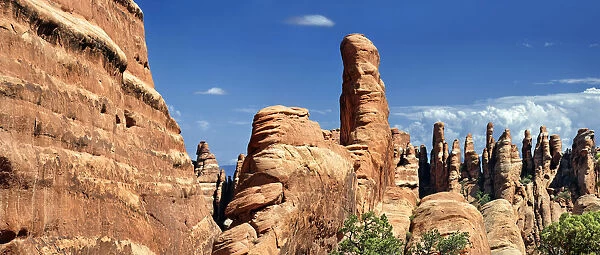 Devils Garden with stone pinnacles of red Navajo sandstone formed by erosion, Arches-Nationalpark, near Moab, Utah, United States