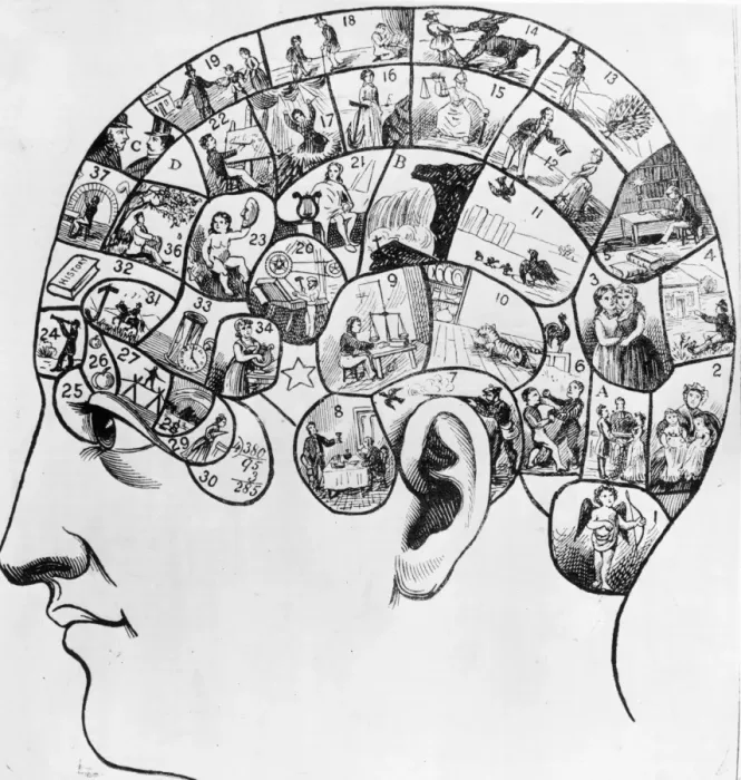 Framed Print : Diagram Of Head Framed Print : Diagram Of Head