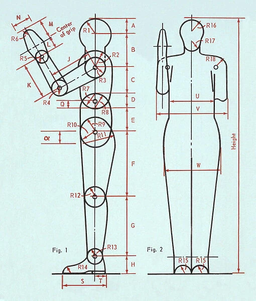 Diagram of Human Figure