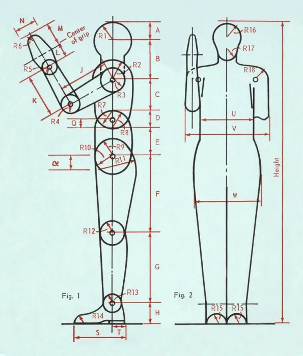 Framed Print : Diagram of Human Figure