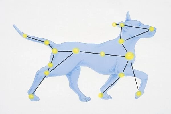 A diagram illustrating the constellation of Canis Major complete with image of dog