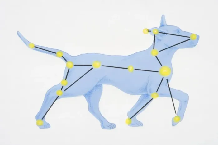 Framed Print : A diagram illustrating the constellation of Canis Major complete with image of dog Framed Print : A diagram illustrating the constellation of Canis Major complete with image of dog