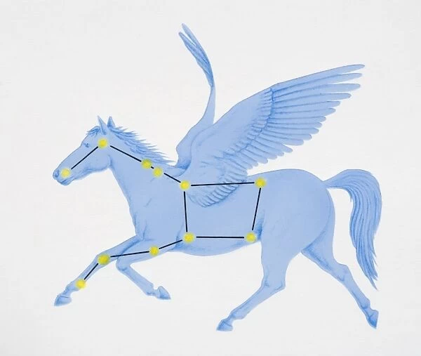 A diagram illustrating the constellation of Pegasus complete with image of a winged horse