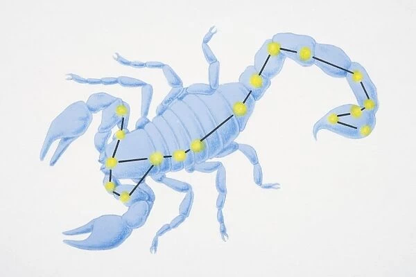 A diagram illustrating the constellation of Scorpius complete with image of a scorpion