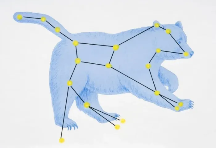 Framed Print : A diagram illustrating the constellation of Ursa Major complete with image of a bear Framed Print : A diagram illustrating the constellation of Ursa Major complete with image of a bear