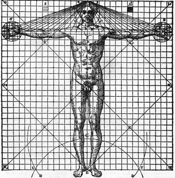 Framed Print : Diagram Of Man'S Proportions; On Graph