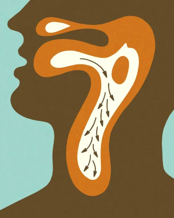 Framed Print : Diagram of Swallowing