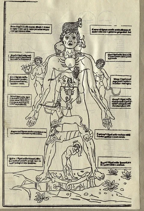 Framed Print : Diagram of Zodiacal Signs on Male Body