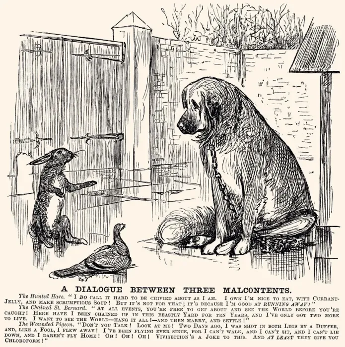 Framed Print : A DIALOGUE BETWEEN THREE ANIMALS Framed Print : A DIALOGUE BETWEEN THREE ANIMALS