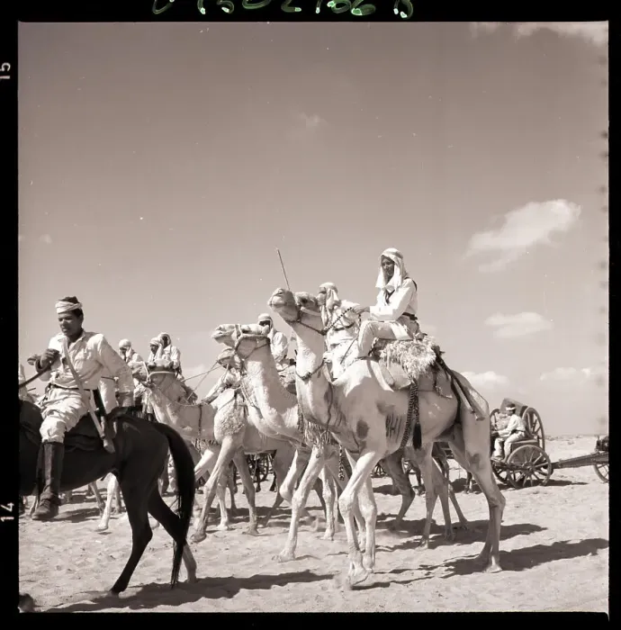 Framed Print : Diana MacNamara Riding Camel in Film Framed Print : Diana MacNamara Riding Camel in Film