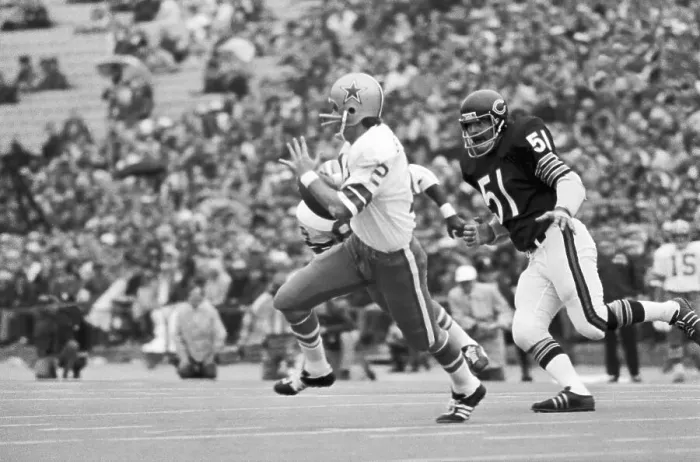 Framed Print : Dick Butkus Chases Quarterback Roger Staubach