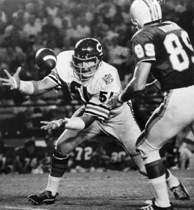 Framed Print : Dick Butkus Intercepting a Pass Framed Print : Dick Butkus Intercepting a Pass