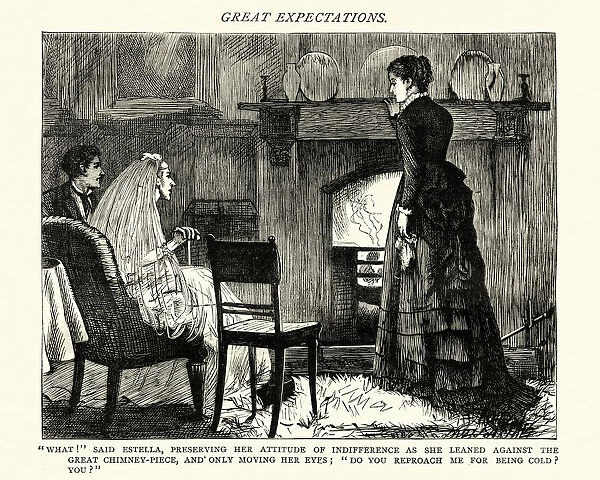 Dickens, Great Expectations, do you reproach me for being cold