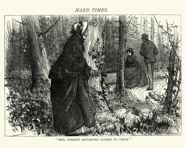 Framed Print : Dickenss Hard Times - Mrs Sparsit Advanced Closer Framed Print : Dickenss Hard Times - Mrs Sparsit Advanced Closer