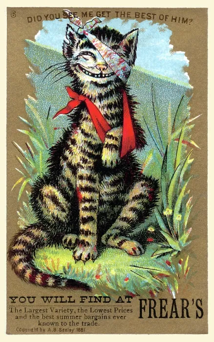 Framed Print : Did you see me get the best of him? Framed Print : Did you see me get the best of him?