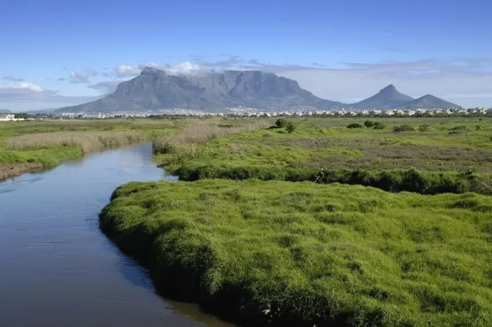 Framed Print : The Diep River Flowing Towards Milnerton Lagoon Framed Print : The Diep River Flowing Towards Milnerton Lagoon