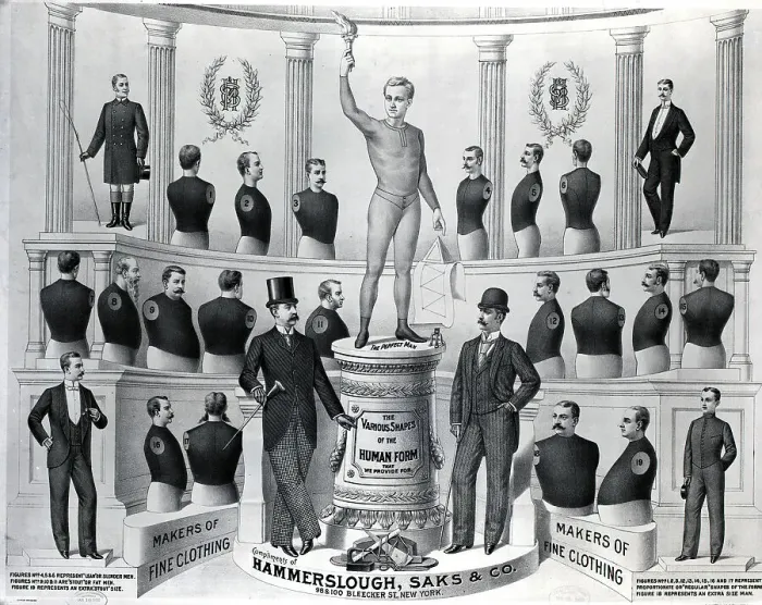 Framed Print : Different Sized Mannequin Torsos Framed Print : Different Sized Mannequin Torsos