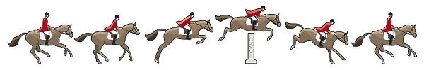 Different stages of showjumper approaching, jumping and landing