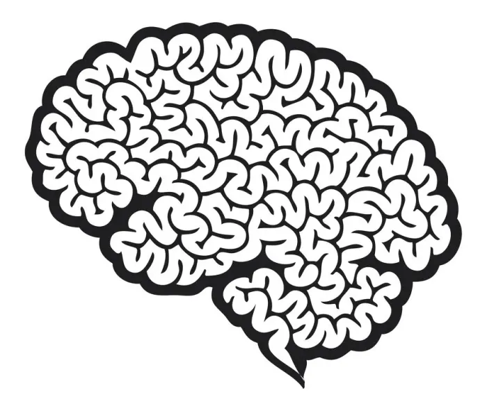 Framed Print : Digital cartoon of human brain showing cerebrum Framed Print : Digital cartoon of human brain showing cerebrum