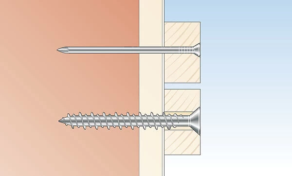 Digital cross section illustration of round head masonry nail and flat head screw inserted through timber and wall