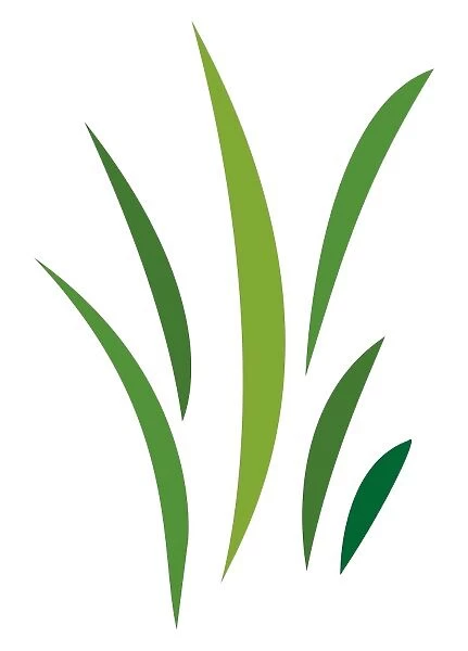 Digital illustration of blades of green grass