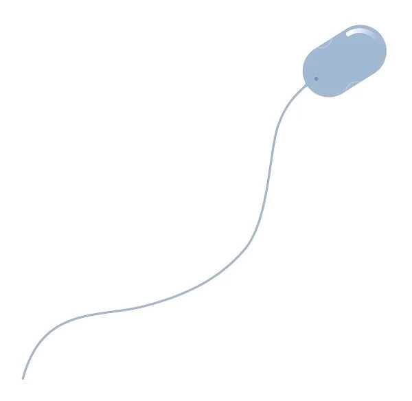 Digital illustration of blue computer mouse