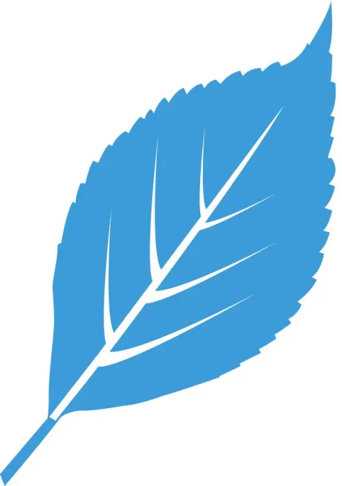 Framed Print : Digital illustration of blue leaf on white background Framed Print : Digital illustration of blue leaf on white background