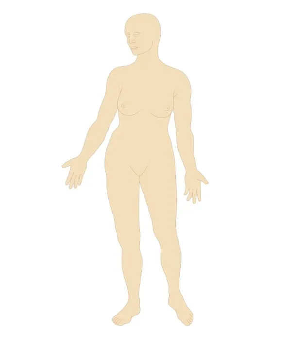 Framed Print : Digital illustration of body shape of naked adult woman, front view