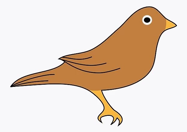 Digital illustration of brown bird