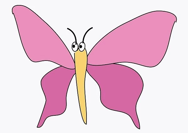 Digital illustration of butterfly with pink wings