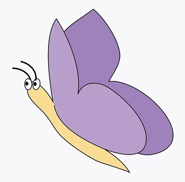 Digital illustration of butterfly with purple wings