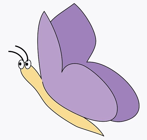 Digital illustration of butterfly with purple wings