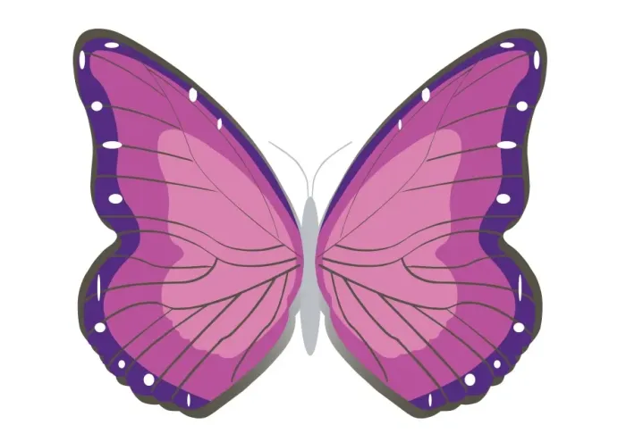 Framed Print : Digital illustration butterfly with spread wings Framed Print : Digital illustration butterfly with spread wings