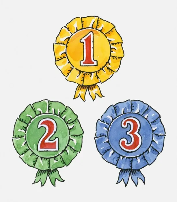 Framed Print : Digital illustration of first, second and third place rosettes Framed Print : Digital illustration of first, second and third place rosettes