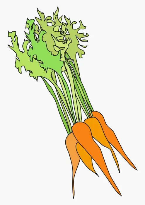 Framed Print : Digital illustration of fresh bunch of carrots Framed Print : Digital illustration of fresh bunch of carrots