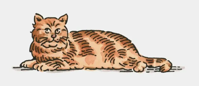Framed Print : Digital illustration of ginger cat