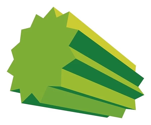 Digital illustration of green three dimensional star