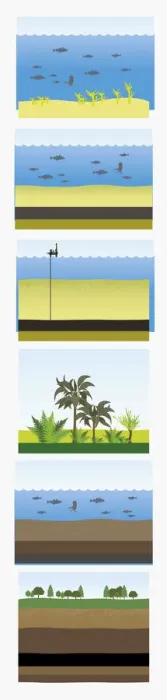 Framed Print : Digital illustration of images depicting creation of fossil fuel Framed Print : Digital illustration of images depicting creation of fossil fuel