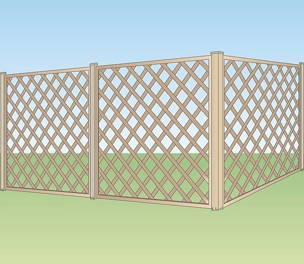 Digital illustration of lattice garden fence