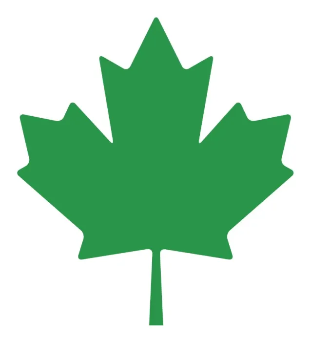 Framed Print : Digital illustration of maple leaf