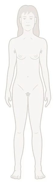 Digital illustration of naked adolescent teenage girl