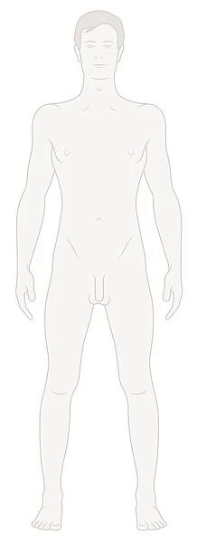 Digital illustration of naked adult man