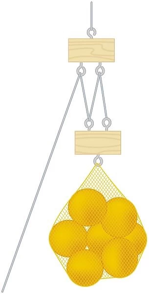 Digital illustration of net bag of oranges suspended from pulley system