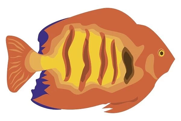 Digital illustration of orange and yellow striped tropical fish