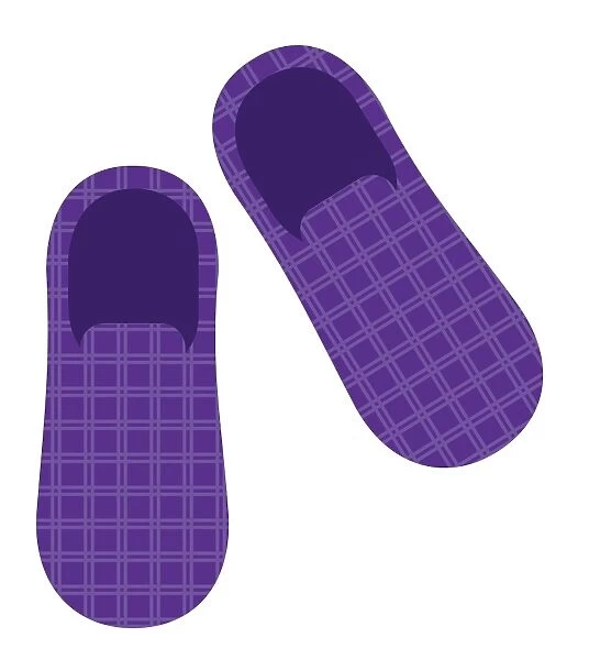Digital illustration of pair of mens purple slippers