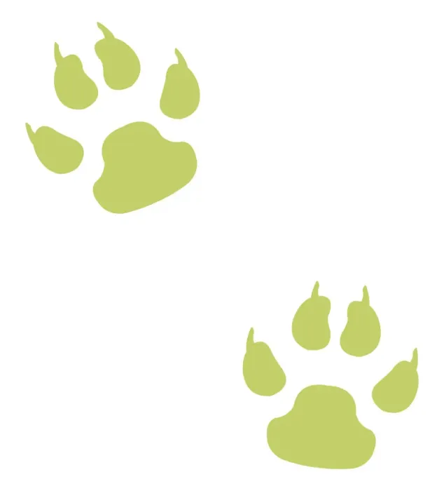 Framed Print : Digital illustration of paw prints Framed Print : Digital illustration of paw prints