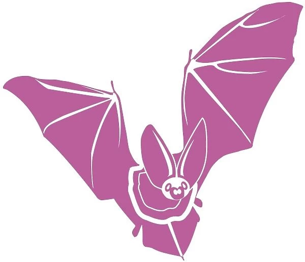 Digital illustration of pink bat on white background