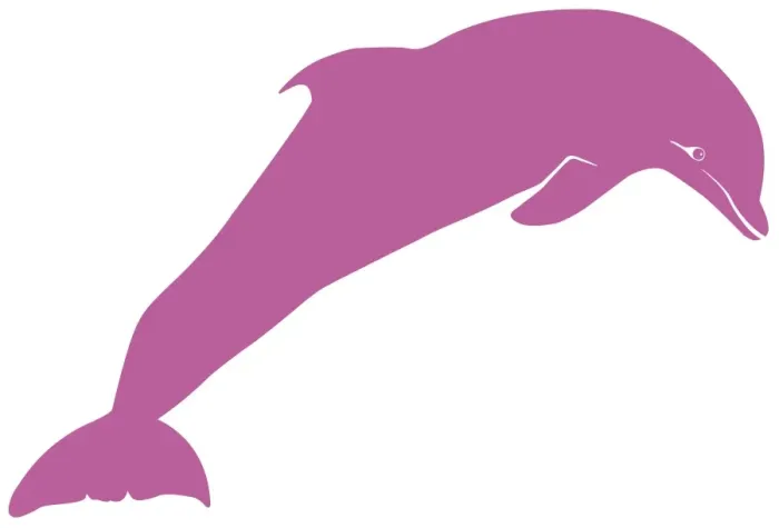 Framed Print : Digital illustration of pink dolphin on white background Framed Print : Digital illustration of pink dolphin on white background